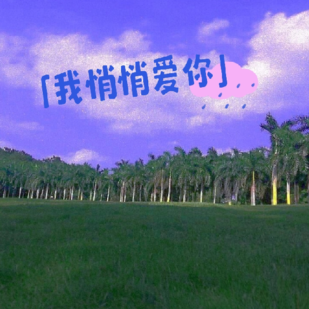 我悄悄爱你