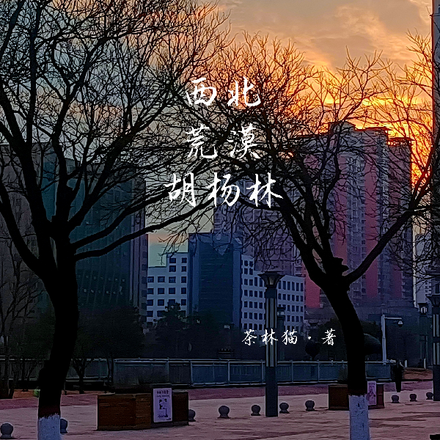 胡杨林的沙漠叫什么