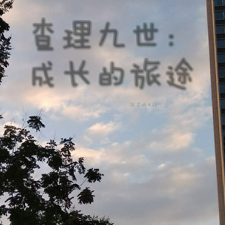 查理九世：成长的旅途