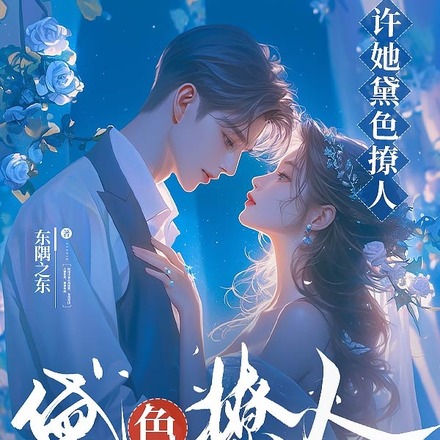 书名:许她一袭婚纱