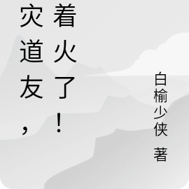 去灾道友，你着火了！