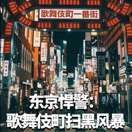 东京悍警：歌舞伎町扫黑风暴