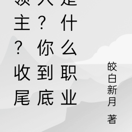 领主？收尾人？你到底是什么职业